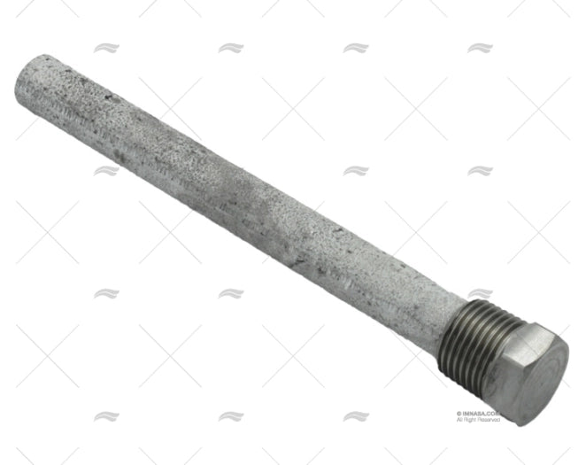 ANODE AVEC CONEXION 1/2 GIANNESCHI