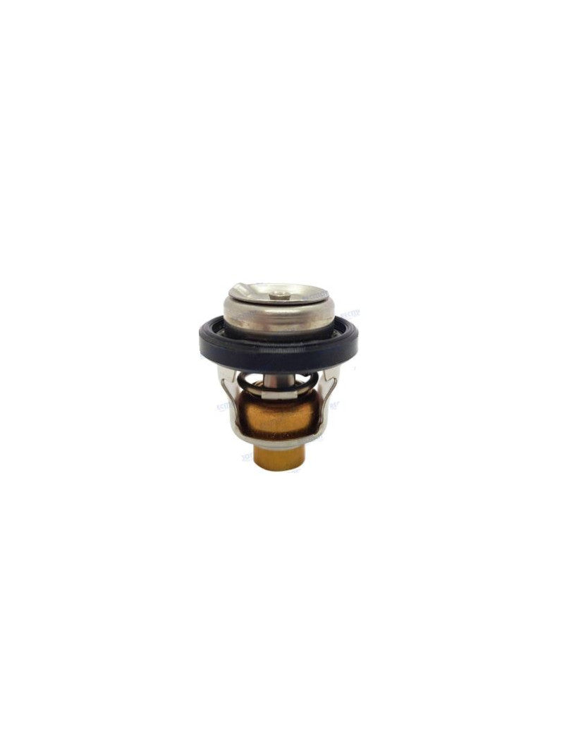 THERMOSTAT 50° DF40/DF50X-K10 (1999-10) DF60/DF70W-K9 (1988-09) DT20/DT25/DT30G-Y (1986-00) DT25/DT30 K1-K2 (2001-02) DT40C-W G-X (1986-99) DT40WK1-K4 (2001-04) DT55/DT65J-X (1988-99) DT9.9/DT15K1-K4 (2001-04) DT9.9K/DT15K G-Y (1986-00)