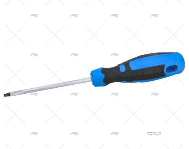 TOURNEVIS PLATA 5DX100mm