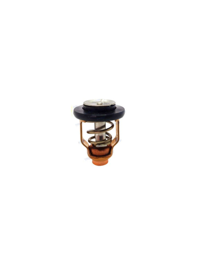 thermostats Suzuki