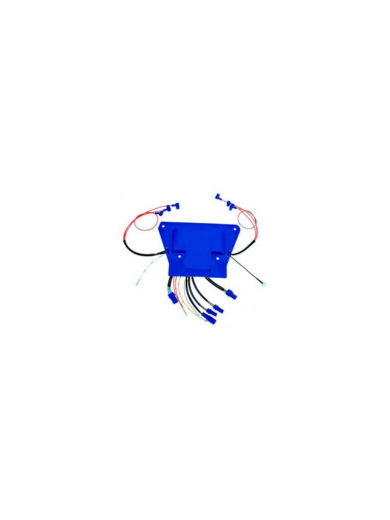 boitier électronique pour johnson evinrude 185 à 250 CV REC-0586661