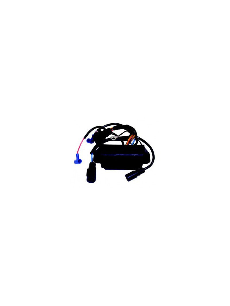 boitier électronique pour johnson evinrude 40/50 cv 2 cyl REC-0175316