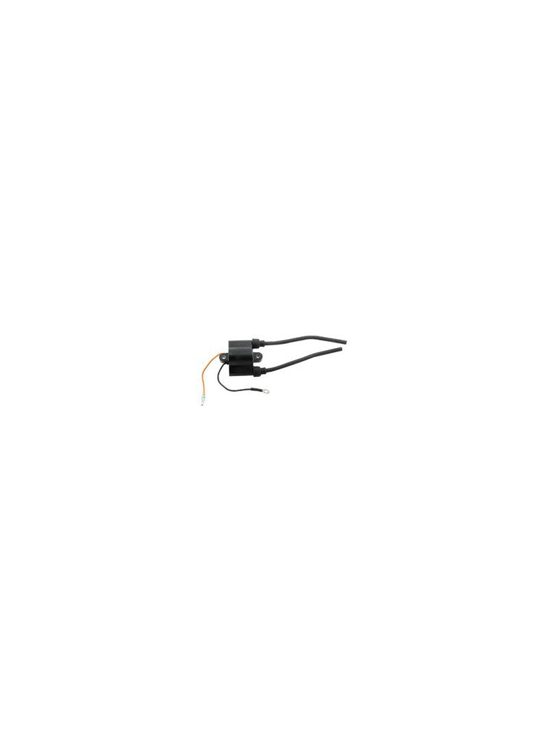 bobine pour moteur hors bord 9.9 / 40CV REC-6E7-85570-19