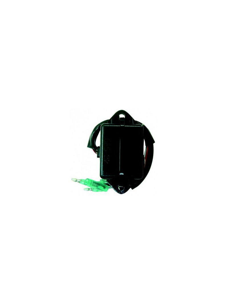 boitier électronique pour moteurs yamaha  - E40 de 2003