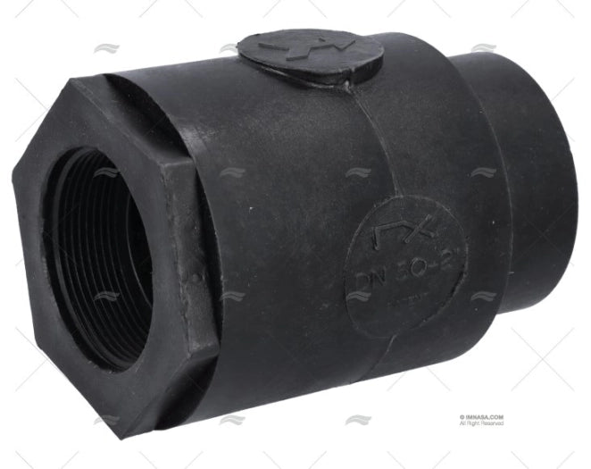 CLAPET ANTI-RETOUR  BSP  PPG 2" RANDEX IBERICA1