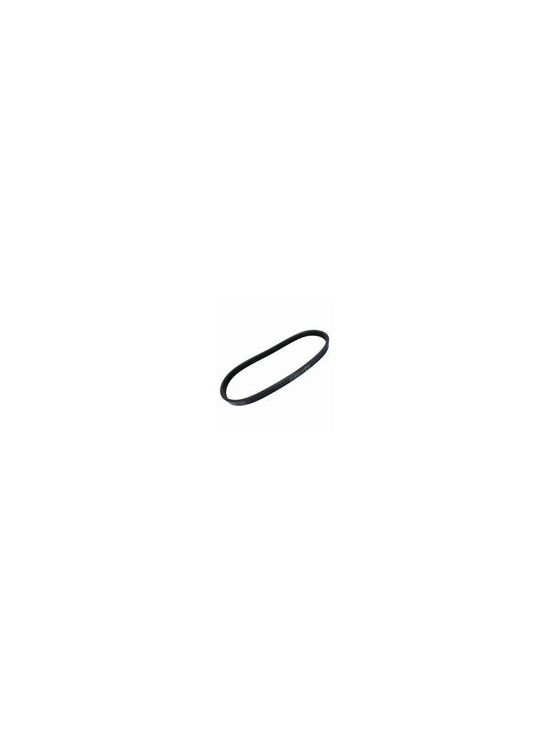courroie d'alternateur pour moteur hors bord 31638-ZY6-003