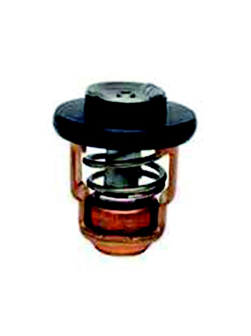 kit thermostat pour yamaha F2.5 PAT-15-04000010