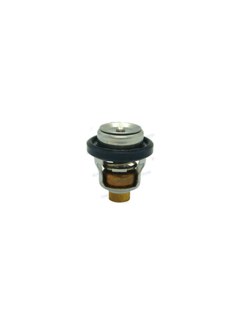 thermostat suzuki  température 60°  DF25/DF30Y-K6 (2000-06)  DF40/DF50X-K10 (1999-10)  DF60/DF70W-K9 (1998-09)  DF9.9/DF15 (1996-11)  DT20/DT25/DT30G-Y (1986-00)  DT25/DT30K1-K2 (2001-02)  DT40C-W-G-X (1986-99)  DT40W K1-K4 (2001-04)  DT9.9/DT15 (1986-04)