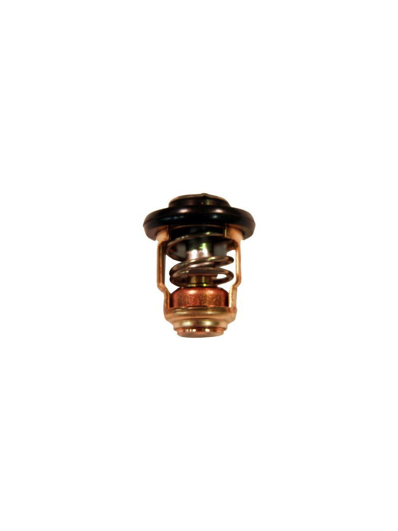 thermostat pour moteurs hors bord Yamaha 4 à 8cv  référence OEM : 11919M, 83282M, 6E5-12411-02, 6E5-12411-01