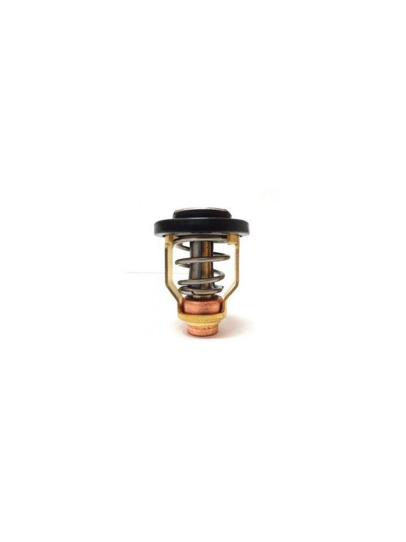 thermostat pour yamaha 9.9 à 250cv REC-6E5-12411-30